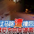 過馬路遭撞後逃掉落反方向車道再被輾