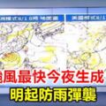 百合颱風最快今夜生成！明起防雨彈襲