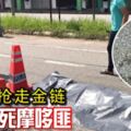 不甘被搶走金鏈-男子撞死摩哆匪