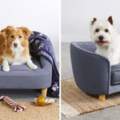 坐著就可愛！新發售「狗狗專用迷你沙發」　想把狗寵翻天的主人排隊入手