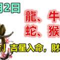 9月2日生肖運勢_龍、牛、豬大吉