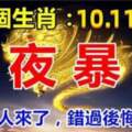 這幾個生肖：12月10.11.12號一夜暴富，不要錯過