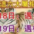 18~19日接財了！橫財一波接波，大發「洋財」的6大屬相！