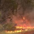 澳洲東部野火四起 至少2死上百房屋毀