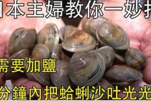 日本主婦教你一妙招，快速讓蛤蜊吐凈泥沙肉又鮮，不需要加鹽，15分鐘內把沙吐光光！