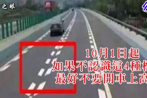 [閃文]10月1日起，如果不認識這4種標線，最好不要開車上高速，看看吧