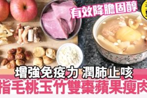 【滋潤湯水】五指毛桃玉竹雙棗蘋果瘦肉湯潤肺止咳降膽固醇