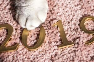 2019年初，月老紅線牽良緣，真愛如影隨形的星座！