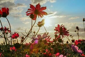 人到底在求什麼，爭什麼，氣什麼，愁什麼