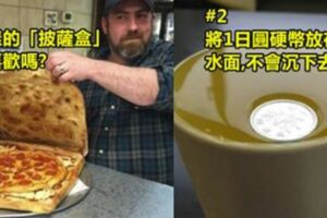 27張照片證明我們的世界「其實就是一個無止境的瘋人院」！