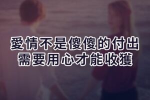 愛情不是傻傻的付出，需要用心才能收獲