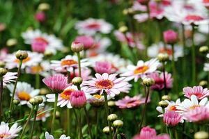 佛說：一切都是前世的緣