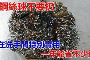 舊鋼絲球不要扔掉，放在洗手間特別實用，一年能省不少錢！