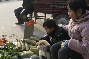 父親患重症母親捨棄家人離去，10歲小女孩賣菜救父，用雙手撐起半片天！網淚崩【你育我成人，我養你到老】！