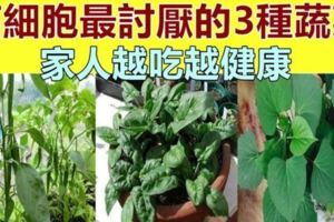 「腫瘤細胞」最怕3種蔬菜，陽臺栽上幾盆，綠色健康又好吃