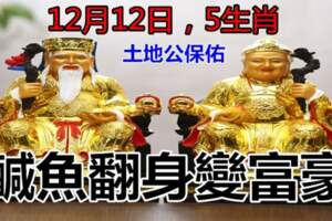 12月12日土地公保佑，鹹魚翻身變富豪的五生肖