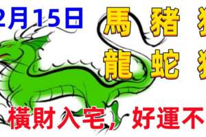 12月15日十二生肖【每日老黃曆】