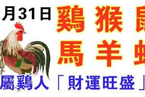 12月31日生肖運勢_雞、猴、鼠大吉