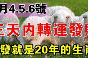 1月4.5.6號三天內轉運發財，一發就是20年的生肖