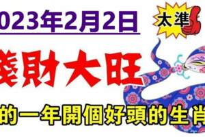 2023年2月2日錢財大旺，新的一年開個好頭的生肖