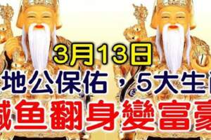 3月13日土地公保佑，大發一筆橫財，鹹魚翻身變富豪的生肖