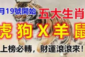 4月19號開始財運滾滾而來的五大生肖，上榜必轉，財運滾滾來！
