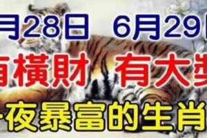 6月28日有橫財，6月29日有大獎，財運爆棚的生肖