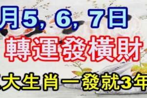 9月5，6，7日轉運發橫財，這五大生肖一發就三年