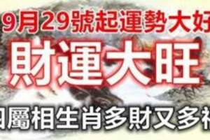 9月29號起運勢大好，財運大旺，四屬相生肖多財又多福