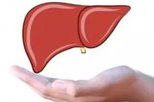 肝毒最怕它，每天來吃口，肝臟垃圾被清理得乾乾淨淨，給你一個健康有活力的肝臟 