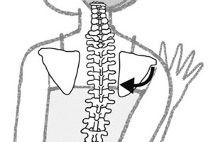 保養脊椎靠一面牆就夠！圖解轉背舒緩操　肩頸不再卡卡 