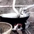 鄉下村民把一籮【眼鏡蛇】放進大鍋用沸騰的熱水煮，下一秒。。。讓人傻眼了！！！