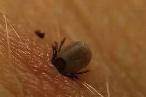 家長們.注意了，已致多名孩子死亡！速看！！！ 