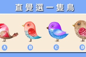 未來測試：選一隻鳥，看你三個月後將會有什麼改變？ 