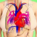 8個「心臟病發一個月前」身體會告訴你的警訊，忽視這些細節的下場超危險！