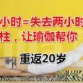 久坐一小時=失去兩小時壽命！拯救脊柱，讓瑜伽幫你重返20歲