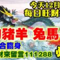 今天12月11日,每日旺財提示：龍狗豬羊，兔馬牛雞。財氣六合臨身！貴人帶財來留言111288必轉！