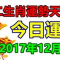 十二生肖運勢天天看，今日運勢：12月14日