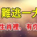 5月被財神盯上，天降橫財多，這些生肖難逃一大獎！