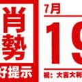 12生肖天天生肖運勢解析（7月19日）