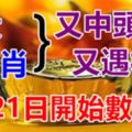 7月21日，7大生肖又中頭獎，又遇橫財！今天開始到年底數錢忙！