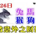7月29日生肖運勢_兔、馬、虎大吉