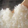 關於煮米飯，這6點你一定要知道，別再傻傻的用錯誤的方式煮米飯了！