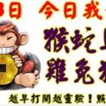 8月8日生肖運勢_龍、鼠、蛇大吉