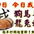 8月9日，今日我最旺！狗龍馬兔羊蛇豬牛！【55888】越早打開越靈驗！點個讚吧！