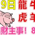8月9日生肖運勢_龍、牛、蛇大吉
