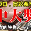 8月10日，這些生肖橫財入命，買彩票可以中大獎！一定有你！