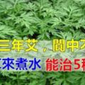 用艾草來煮水，還有很多你想不到的功效