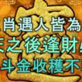 5生肖遇人皆為貴人，明天之後，逢財必發，日進斗金，收穫不菲！