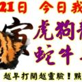 10月21日，今日我最旺！虎狗龍馬蛇牛羊雞！【23888】越早打開月靈驗！點個贊吧！